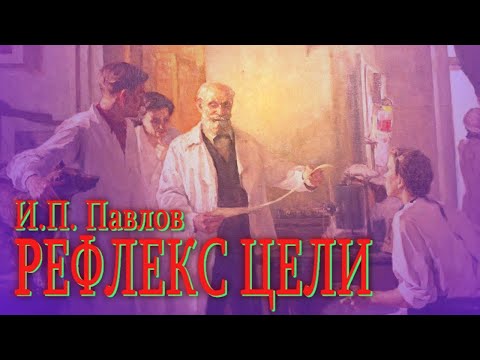 Видео: РЕФЛЕКС ЦЕЛИ ● И.П. Павлов