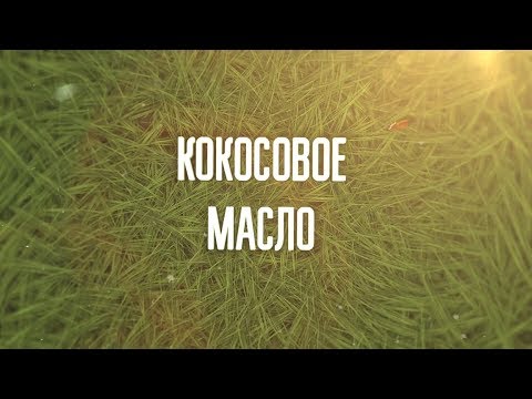 Видео: Кокосовое масло | Энциклопедия здорового питания