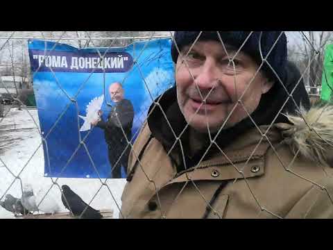 Видео: г. Шахтерск!!! Ярмарка-Выставка голубей.