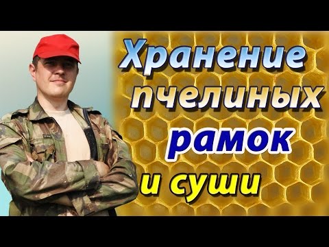 Видео: Хранение сотов и рамок на пасеке. Борьба с мышами и восковой молью