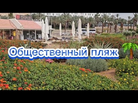 Видео: #israel  #мёртвоеморе  Общественный пляж  #удивительныйизраиль