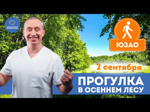 Видео: Маршрут 9 км, влияние природы на здоровье: прогулка с доктором Шишониным 2 сентября 🌳❤️