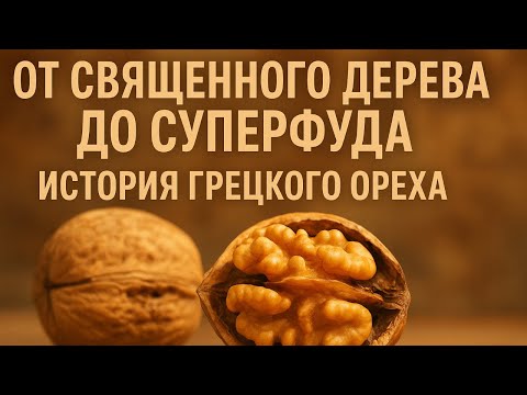 Видео: От священного дерева до суперфуда: история и польза грецкого ореха, о которой вы не знали