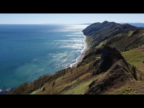 Видео: остров Сахалин