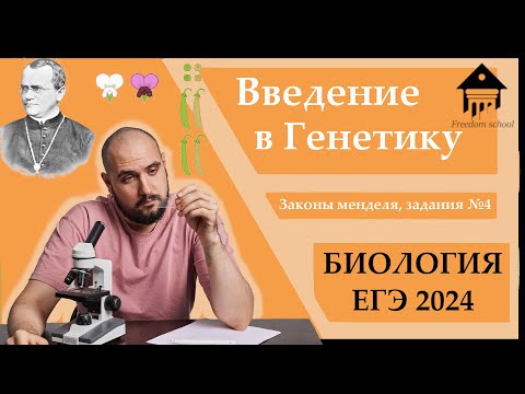 Видео: Введение в ГЕНЕТИКУ. Законы Менделя + ГРУППЫ КРОВИ. Решение задач №4 |ЕГЭ БИОЛОГИЯ|Freedom|