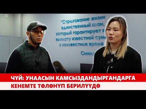 Видео: Чүй: Унаасын камсыздандыргандарга кенемте төлөнүп берилүүдө