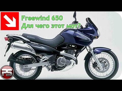 Видео: Freewind 650. Кто такой и для чего?