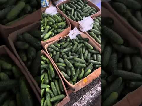 Видео: Шувар овочі 04.11.25, огляд цін на ринку