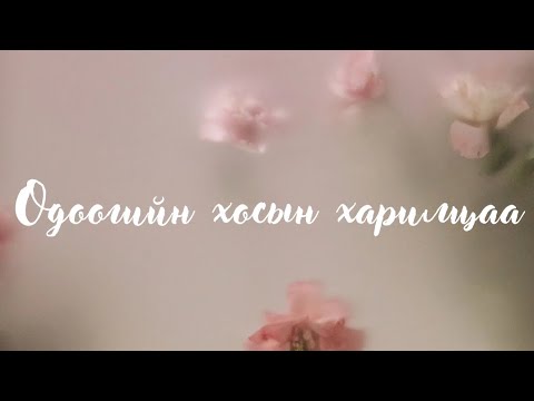 Видео: ❣️Одоогийн хосын харилцааны нөхцөл байдал ❣️