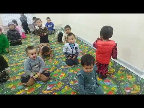 Видео: 13 февраля 2025 г.