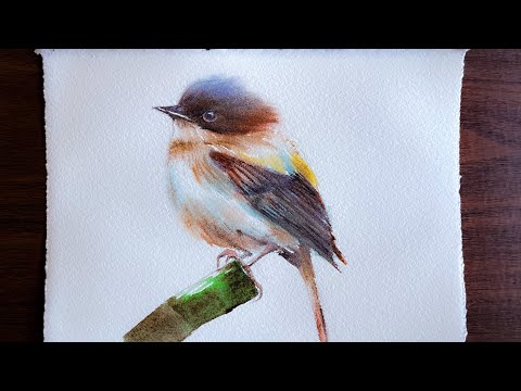 Видео: Картина акварелью «Пушистая птица»