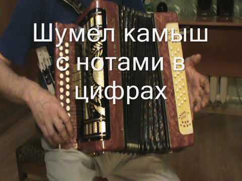 Видео: Шумел камыш с нотами в цифрах