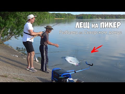 Видео: Иваныч, там ЛЕЩ неси ведро!!! Ловля подлещика на пикер. Рыбалка с фидером на вечерней зорьке