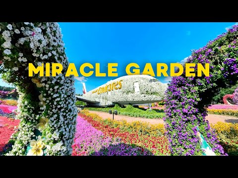 Видео: Отдых в Дубае 2025 | Парк Цветов 🌸 Сад Чудес I Эксклюзивный обзор Dubai Miracle Garden - 4K HDR