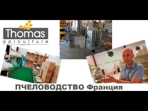 Видео: Пчеловодство. Франция. Thomas Apiculture - Магазин для пчеловодов. / Улей ин/ beekeeper shop