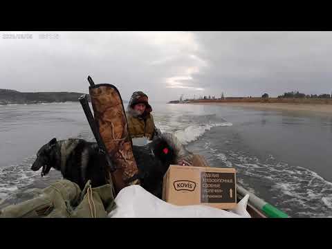 Видео: 11.10. Заезд на охотничий участок. 
