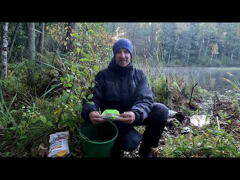 Видео: Рыбак на карася на диком озере