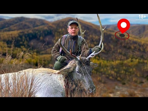 Видео: Добыть медведя и марала в Тыве.  В гостях у старовера Евгения.