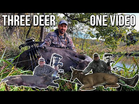 Видео: Три оленя в одном видео!! Охота с луком на прикормочные деревья в Вирджинии.