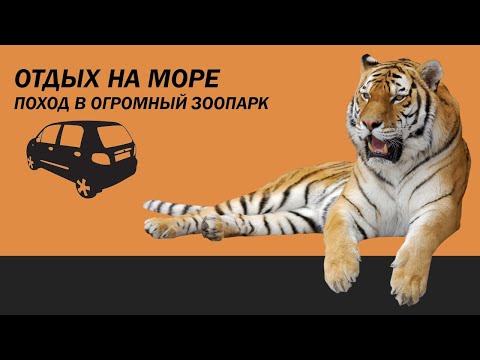 Видео: Поход в «Сафари-Парк». Куда сходить в Геленджике?