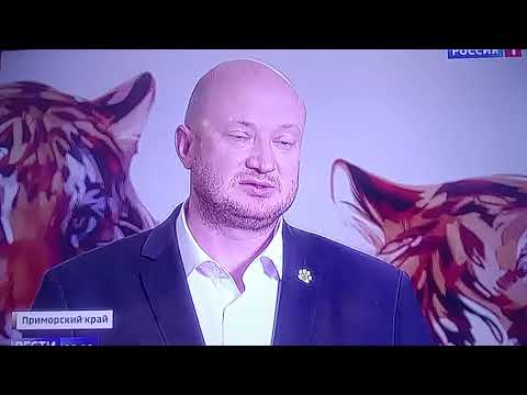 Видео: Молодой Амурский тигр навёл шороху в Приморском крае .