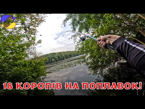Видео: ПОРАДИ ПРИ ЛОВЛІ КОРОПА!! ВИБІР МІСЦЯ, ПРИКОРМКИ !
