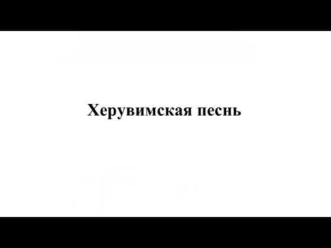 Видео: «Херувимская песнь» свящ. В. Зиновьев