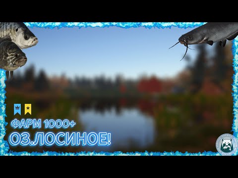Видео: *ОЗ.ЛОСИНОЕ* ФАРМ 1000+ ЗА СКОЛЬКО ПО ВРЕМЕНИ СМОГУ?? СТОЛЬКО ТРОФЕЕВ ЗА ОДИН ДЕНЬ Я ЕЩЕ НЕ ВИДЕЛ!