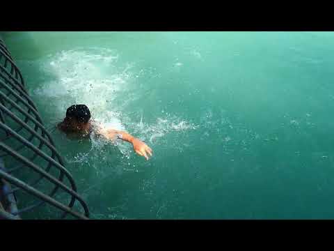 Видео: Узбекистан   город Чирчик, сентябрь 2022 года.