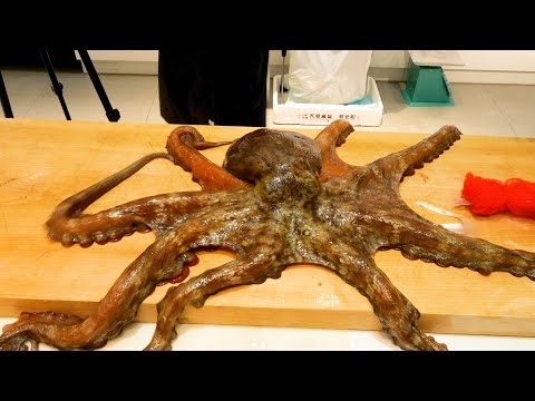 Видео: Осьминог это ааааааа!