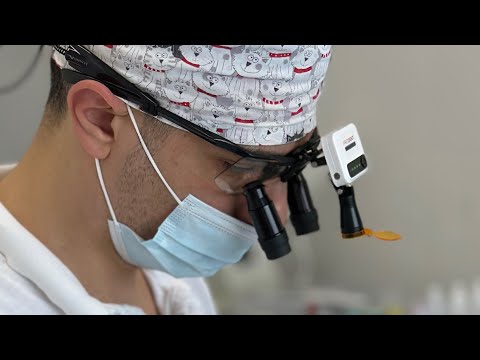 Видео: Обзор света для бинокуляров доктора!