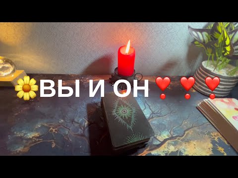 Видео: 6 ноября 2025 г.