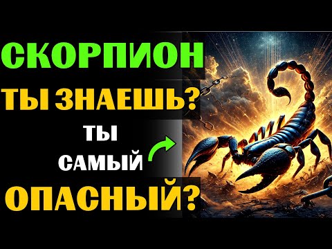 Видео: 🔴♏25 причин почему СКОРПИОН - самый опасный знак зодиака. Ты согласен? #скорпион