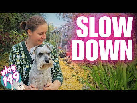 Видео: Эпизод 149: Когда всё становится слишком невыносимым... | Сад и огород в Великобритании