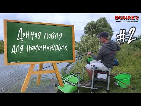 Видео: Донная ловля для начинающих. ловля леща
