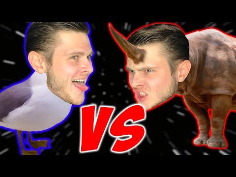 Видео: ЧАЙКИ VS НОСОРОГИ - Beast Battle Simulator