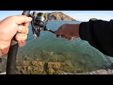 Видео: Капчагай рыбалка на Карлыгаш