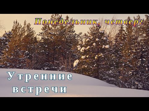 Видео: 10.11.25. Утренняя встреча #434