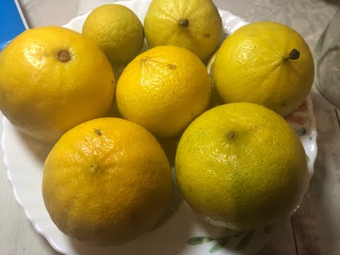 Видео: Что за "фрукт" БЕРГАМОТ? И с чем его едят?