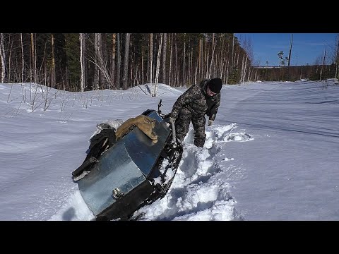 Видео: Непростая заброска груза в избушку. Поиски глухариного тока.