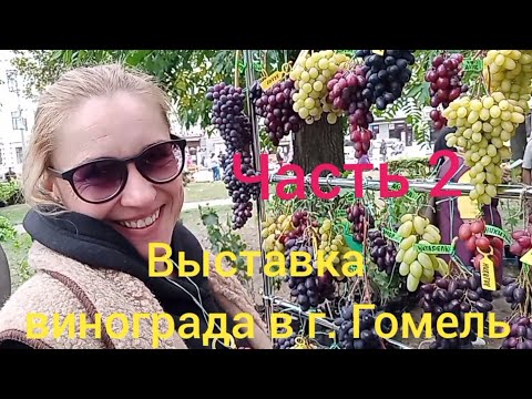 Видео: Выставка  винограда в г . Гомель 2 часть 13 сентября 2025 г.