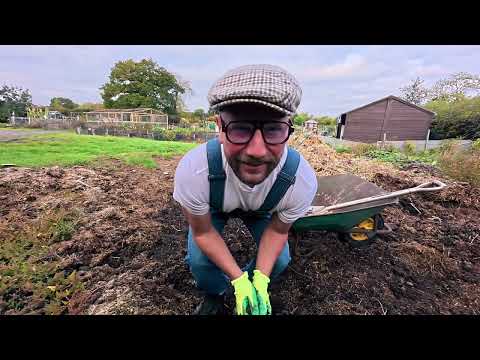 Видео: Осеннее садоводство в Великобритании 🍂Октябрь