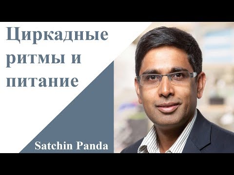 Видео: Циркадные ритмы и питание | Satchin Panda | TEDxBeaconStreet