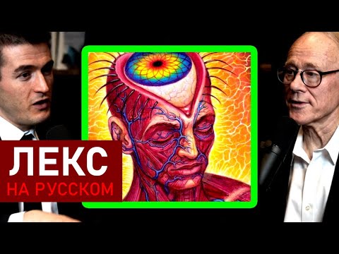 Видео: На что похож прием аяуаски | Грэм Хэнкок и Лекс Фридман