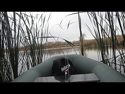 Видео: РЫБАЛКА НА ЩУКУ В ЗАРОСЛЯХ  КАМЫША. РАЗВЕДКА  ЩУЧЬИХ МЕСТ. РЫБАЛКА НА СПИННИНГ.