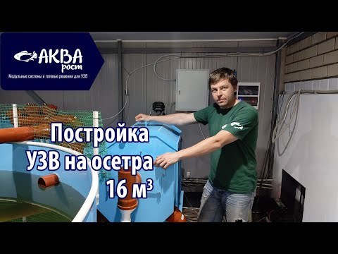 Видео: Как построить УЗВ для осетра на 16 кубов воды #узв #акварост #бизнесвдеревне