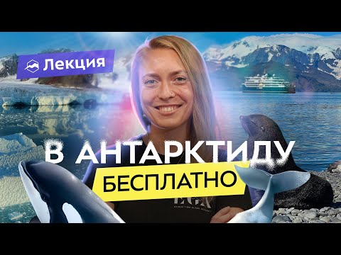 Видео: Как стать гидом в Арктике и Антарктиде: путешествуем по полюсам