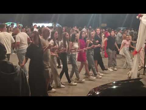Видео: Дани Моллов и орк. Мусти Бенд 
