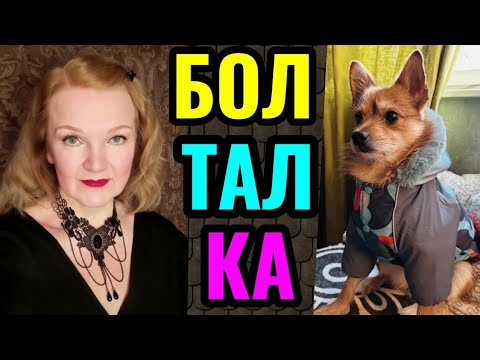 Видео: Чем я теперь кормлю собаку, о парадоксах воспитания детей и о созидании.