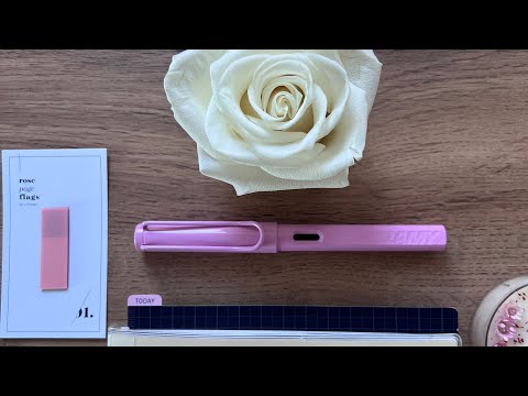 Видео: О планировании в  2025 💫, распаковка посылки от « Sterling ink » #hobonichicousin #filofax #moterm